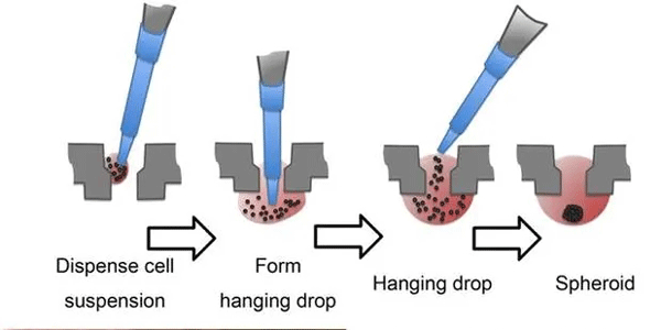 顯微鏡.png 顯微鏡.png